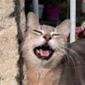 Meet your Posher, Caroline